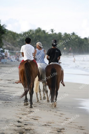 Suedamerika, Karibik, Venezuela, Isla Margarita, Playa Guacuco, Pferde und Reiter am Strand von Playa Guacuco an der Ostkueste an der Karibik auf der Isla Margarita