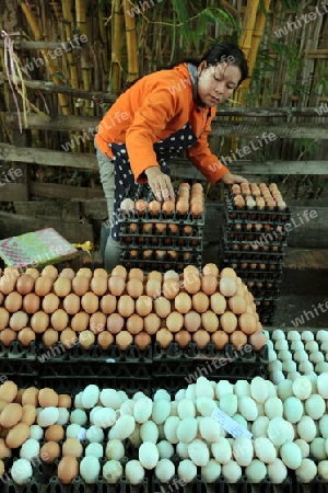 Auf dem Markt in der Altstadt von Luang Prabang in Zentrallaos von Laos in Suedostasien.