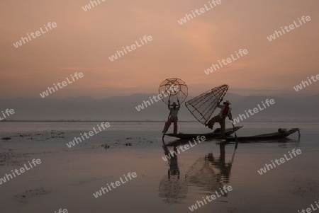 Fishermen at sunrise in the Landscape on the Inle Lake in the Shan State in the east of Myanmar in Southeastasia.