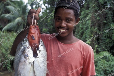 Ein Fischer auf der Insel Praslin der Inselgruppe Seychellen im Indischen Ozean in Afrika.