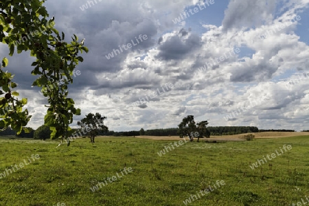 Liebliche Landschaft in der Schorfheide, Brandenburg