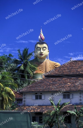 Eine Buggha Figur im Weherahena Tempel im sueden von Sri Lanka in Asien.