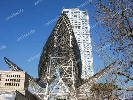 Skyline und  Kunst in Barcelona