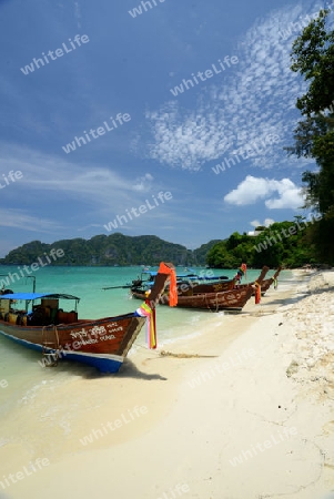 A Beach on the Island of Ko PhiPhi on Ko Phi Phi Island outside of the City of Krabi on the Andaman Sea in the south of Thailand. 