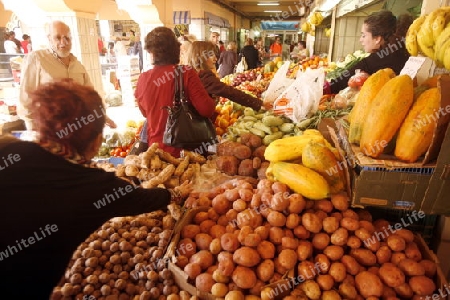 The Market Hall of the City of Santa Cruz on the Island of Tenerife on the Islands of Canary Islands of Spain in the Atlantic.  