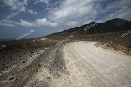 The Road in the Jandia Natural Parc on the south of the Island Fuerteventura on the Canary island of Spain in the Atlantic Ocean.