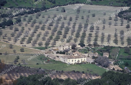 Die Landscahft beim Kloster von Liuc im Norden der Insel Mallorca einer der Balearen Inseln im Mittelmeer. 