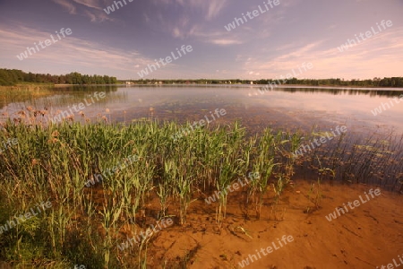 a smal lake near the town of Druskininkai in the south of Vilnius and the Baltic State of Lithuania,  