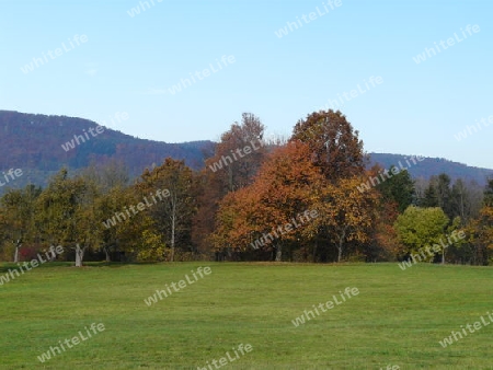 Landschaft - Herbstfarben P1280517