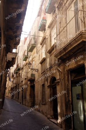 the old Town of Siracusa in Sicily in south Italy in Europe.