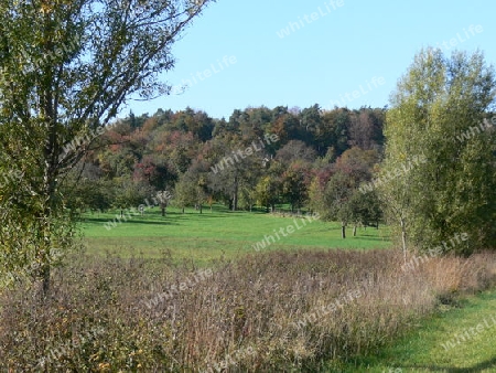 Wald und Wiese im Herbst