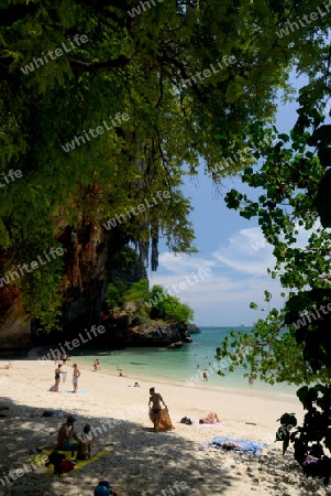 The Hat Phra Nang Beach at Railay near Ao Nang outside of the City of Krabi on the Andaman Sea in the south of Thailand. 