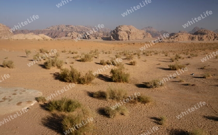 The Landscape of the Wadi Rum Desert in Jordan in the middle east.