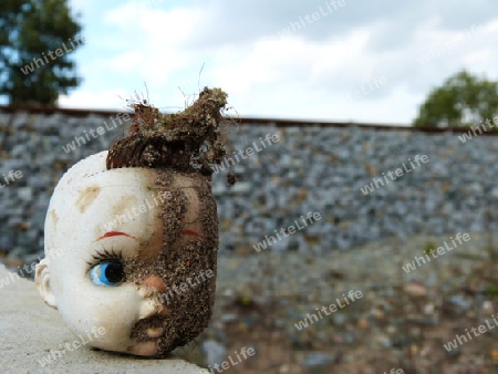 Wrecked doll head found in the wilderness - Demolierter Puppenkopf in der Wildnis gefunden