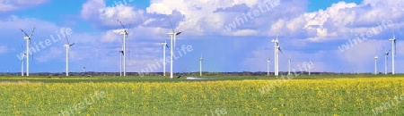 Panoramic view on alternative energy wind mills in a windpark