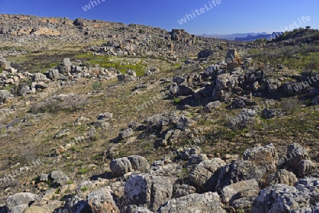 Blick in der Landschaft der Cederberg Wilderness Area bei Clanwilliam, West Kap, Western Cape, S?dafrika, Afrika