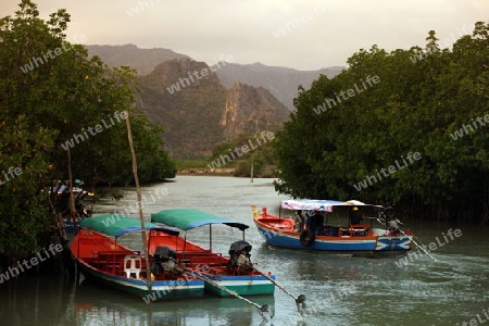 Die Fluss Landschaft des Khao Sam Roi Yot Nationalpark am Golf von Thailand im Suedwesten von Thailand in Suedostasien