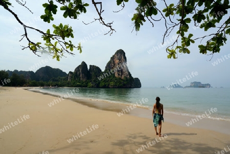 The Hat Railay Leh Beach at Railay near Ao Nang outside of the City of Krabi on the Andaman Sea in the south of Thailand. 