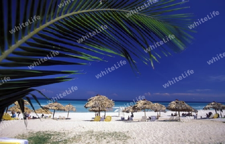 a beach on the coast of Varadero on Cuba in the caribbean sea.