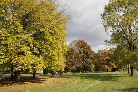 Stadtpark in M?nchen