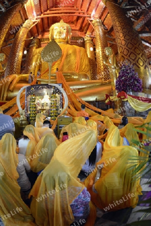 A allday ceremony in the Wat Phanan Choeng Temple in City of Ayutthaya in the north of Bangkok in Thailand, Southeastasia.