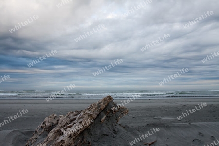 Neuseeland Cape Foulwind