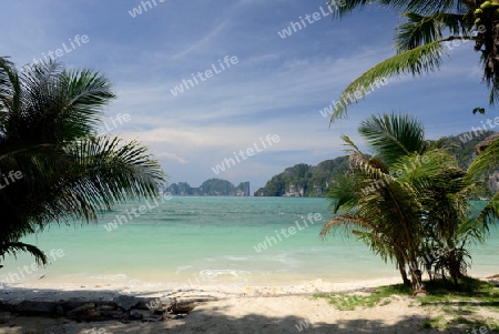 A Beach on the Island of Ko PhiPhi on Ko Phi Phi Island outside of the City of Krabi on the Andaman Sea in the south of Thailand. 