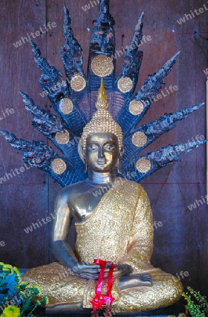 buddha