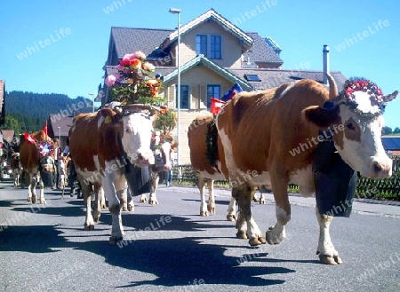 Alpenabzug