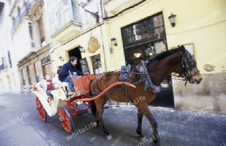 Eine Pferdekutsche mit Besuchern bei der Palca de la Reina in der Altstadt von Palma de Mallorca der Hauptstadt der Insel Mallorca einer der Balearen Inseln im Mittelmeer. 