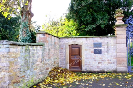 Mauer mit Holztuer Wall with wooden door