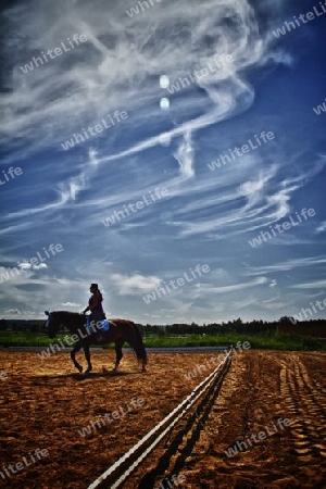 Perd Landschaft 