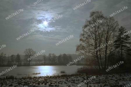 Winterstimmung am See