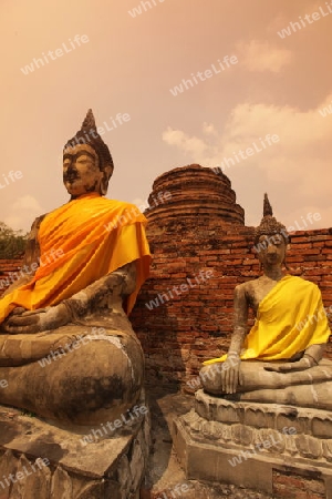 Der Wat Yai Chai Tempel in der Tempelstadt Ayutthaya noerdlich von Bangkok in Thailand.