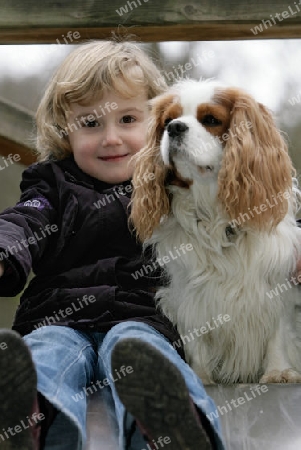 Freundschaft M?dchen und Spaniel