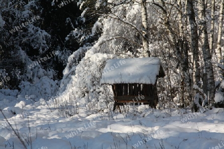 Schneelandschaft