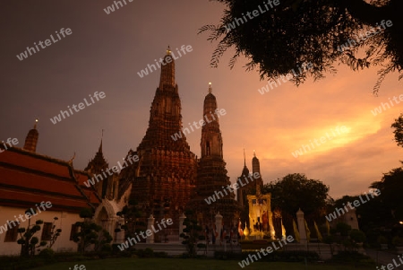 Der Wat Arun Tempel in der Stadt Bangkok in Thailand in Suedostasien.