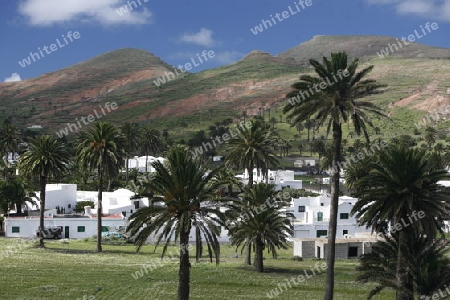 The volcanic Hills near the Village of Haria on the Island of Lanzarote on the Canary Islands of Spain in the Atlantic Ocean.
