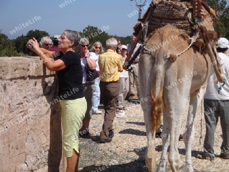 Touristen in Marokko