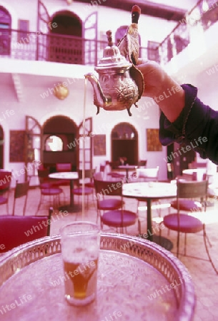 A Tea House at the Djemma del Fna Square in the old town of Marrakesh in Morocco in North Africa.
