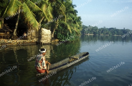 The Backwater rivers near the city ofi Kochi in the province Kerala in India.