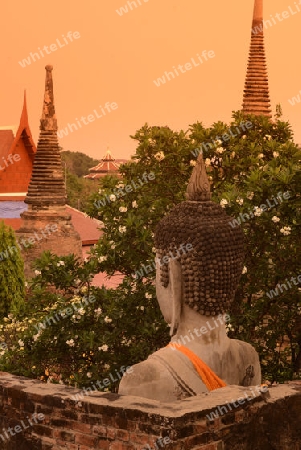 The Wat Yai Chai Mongkol Temple in City of Ayutthaya in the north of Bangkok in Thailand, Southeastasia.