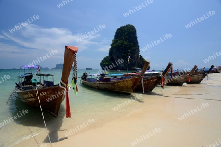 The Hat Phra Nang Beach at Railay near Ao Nang outside of the City of Krabi on the Andaman Sea in the south of Thailand. 