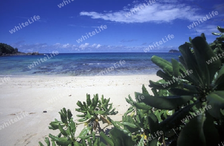 Die Landschaft auf der Insel Mahe auf den Seychellen im Indischen Ozean.