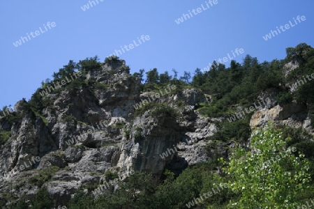 Wilder Fels, Baeume auf seiner Spitze