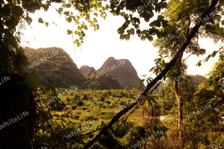 Die Landschaft rund um die Buddha Hoehle oder Buddha Cave (Innen ist Fotografieren verboten) von Tham Pa Fa unweit der Stadt Tha Khaek in zentral Laos an der Grenze zu Thailand in Suedostasien.