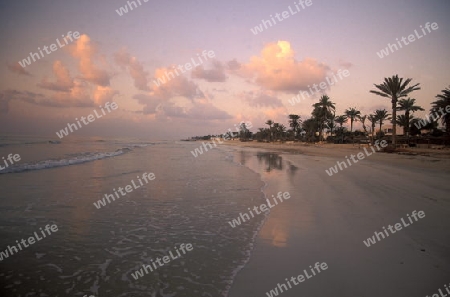 Ein Sandstrand auf der Insel Jierba im Sueden von Tunesien in Nordafrika.  