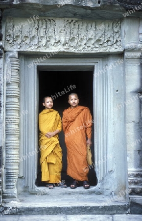 the angkor wat temple in Angkor at the town of siem riep in cambodia in southeastasia. 