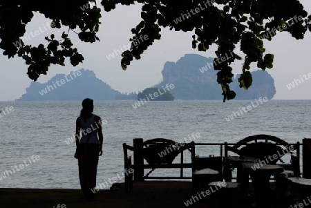 The Hat Tom Sai Beach at Railay near Ao Nang outside of the City of Krabi on the Andaman Sea in the south of Thailand. 