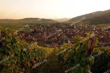 the olt town of the village of Riquewihr in the province of Alsace in France in Europe